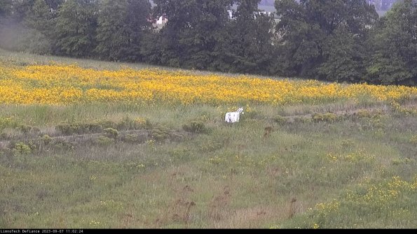 Cell 2 to 3_23-09-07_11-02-24-99