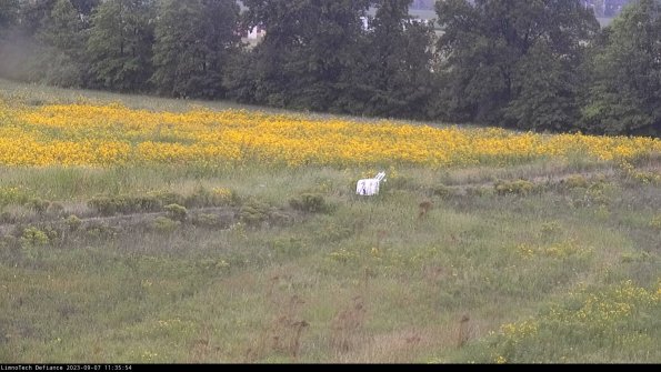 Cell 2 to 3_23-09-07_11-35-54-98