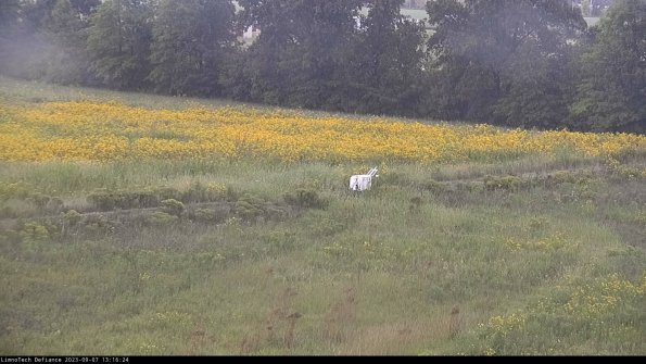 Cell 2 to 3_23-09-07_13-16-24-97