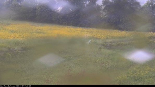 Cell 2 to 3_23-09-07_14-23-23-95