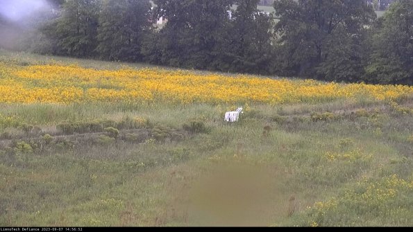 Cell 2 to 3_23-09-07_14-56-53-00