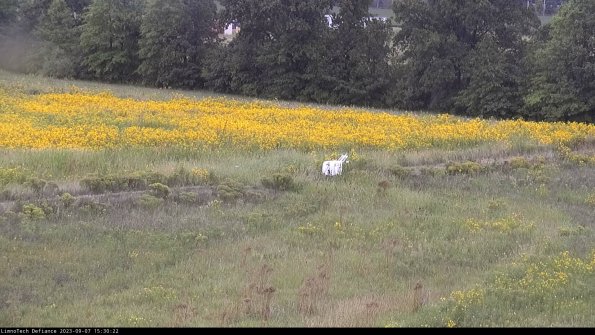 Cell 2 to 3_23-09-07_15-30-22-99