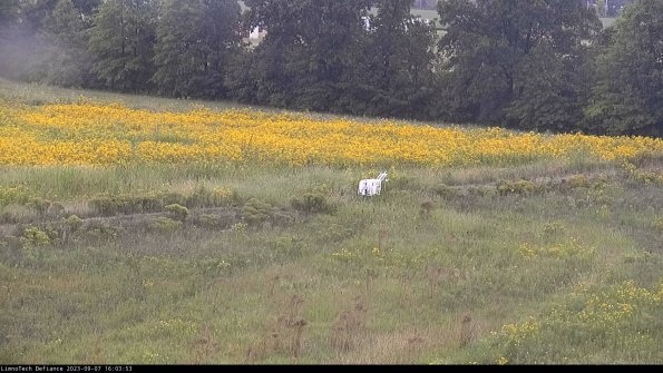 Cell 2 to 3_23-09-07_16-03-54-01