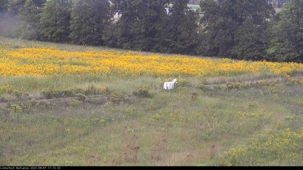 Cell 2 to 3_23-09-07_17-10-53-99