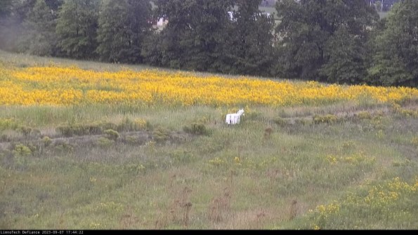 Cell 2 to 3_23-09-07_17-44-23-07