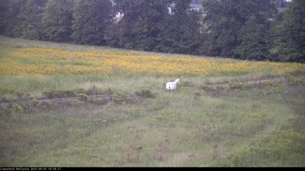 Cell 2 to 3_23-09-07_19-58-22-02