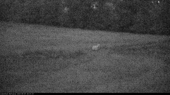 Cell 2 to 3_23-09-07_20-31-52-01