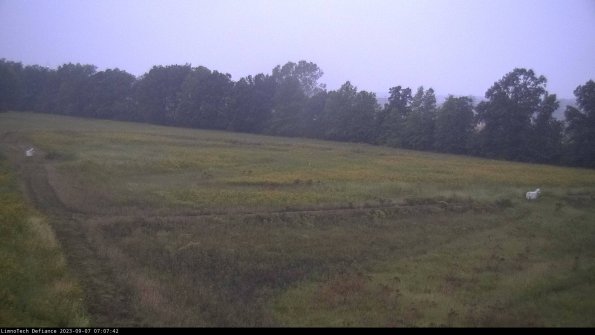 Cell 2_23-09-07_07-07-42-87