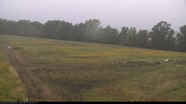 Cell 2_23-09-07_07-41-12-89