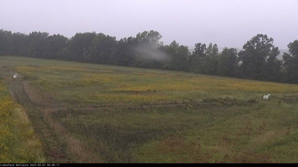 Cell 2_23-09-07_08-48-11-90