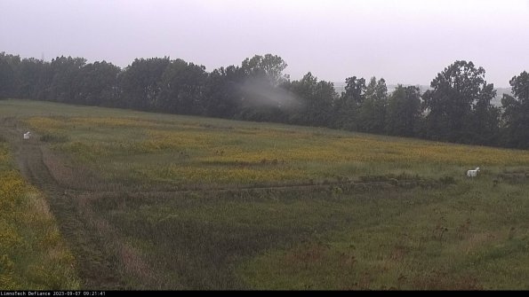 Cell 2_23-09-07_09-21-41-92