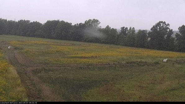 Cell 2_23-09-07_09-55-10-97