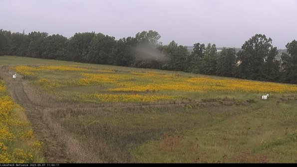 Cell 2_23-09-07_11-02-11-91