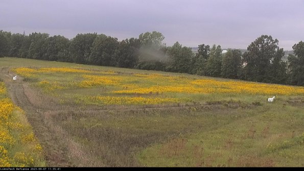 Cell 2_23-09-07_11-35-41-90