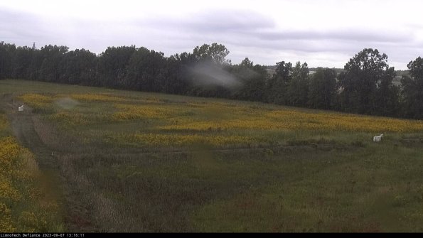 Cell 2_23-09-07_13-16-11-89