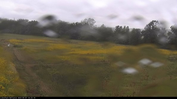 Cell 2_23-09-07_14-23-10-90