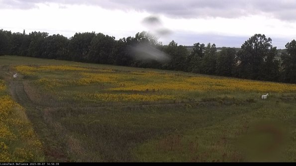 Cell 2_23-09-07_14-56-39-92