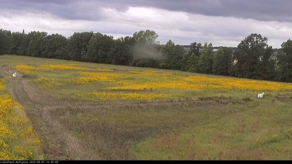 Cell 2_23-09-07_15-30-09-94