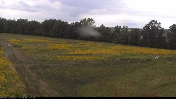 Cell 2_23-09-07_16-03-40-93