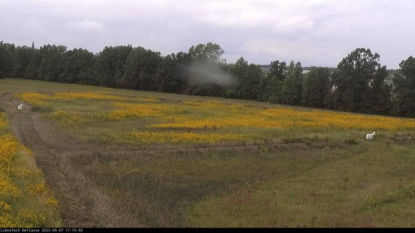 Cell 2_23-09-07_17-10-40-87