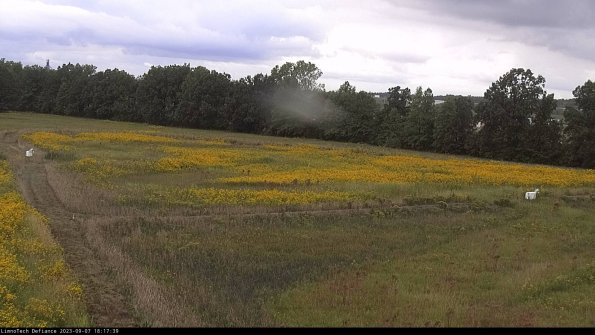 Cell 2_23-09-07_18-17-39-88