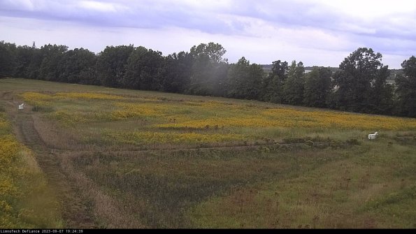 Cell 2_23-09-07_19-24-39-89