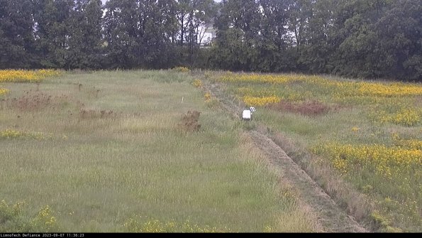 Cell 3 to 4_23-09-07_11-36-23-87