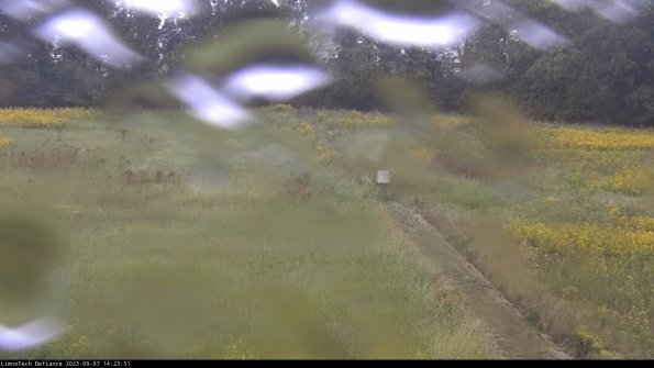 Cell 3 to 4_23-09-07_14-23-51-88