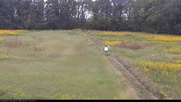 Cell 3 to 4_23-09-07_14-57-21-90