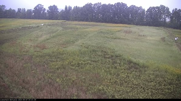 Cell 3_23-09-07_07-41-40-08