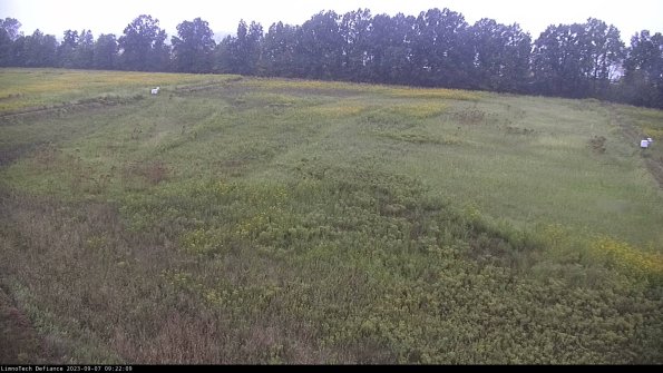 Cell 3_23-09-07_09-22-09-88