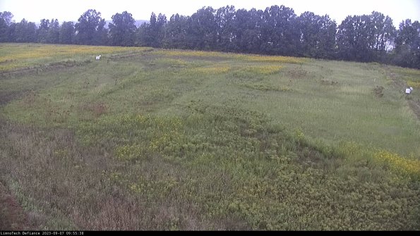 Cell 3_23-09-07_09-55-38-87