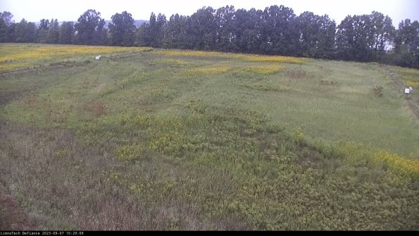 Cell 3_23-09-07_10-29-09-89