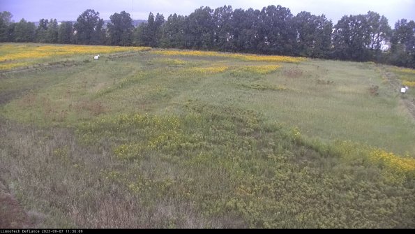 Cell 3_23-09-07_11-36-09-89