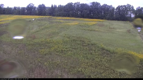 Cell 3_23-09-07_14-57-07-88