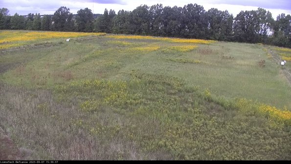 Cell 3_23-09-07_15-30-37-87