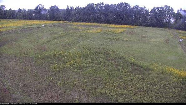 Cell 3_23-09-07_16-04-08-93