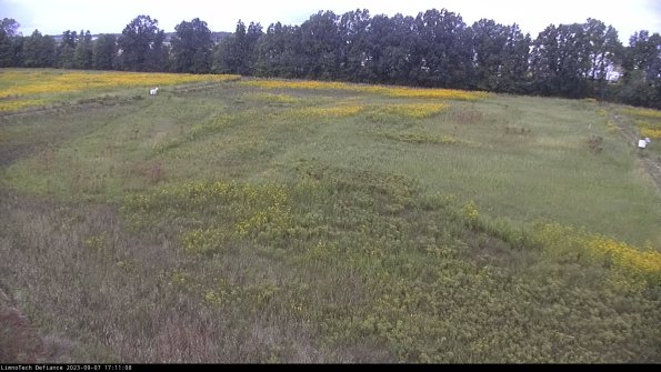 Cell 3_23-09-07_17-11-08-87