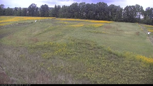 Cell 3_23-09-07_17-44-37-89