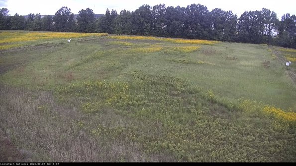 Cell 3_23-09-07_18-18-07-87