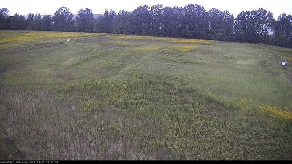 Cell 3_23-09-07_18-51-36-89