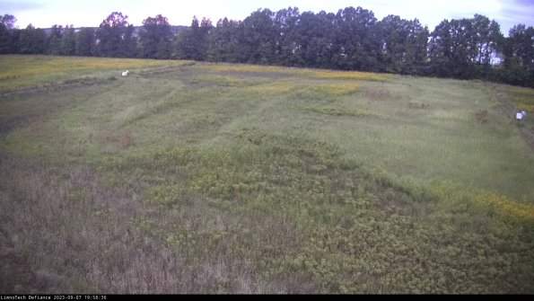 Cell 3_23-09-07_19-58-36-90