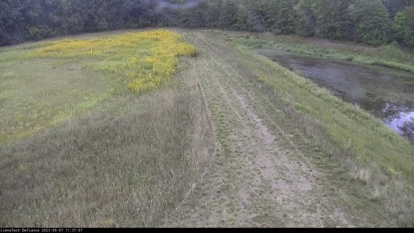 Cell 4 to Basin_23-09-07_11-37-07-85