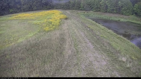 Cell 4 to Basin_23-09-07_13-17-37-88