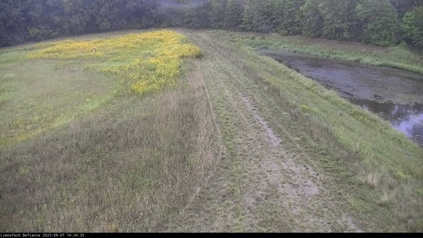 Cell 4 to Basin_23-09-07_14-24-35-85