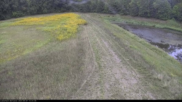 Cell 4 to Basin_23-09-07_15-31-35-90