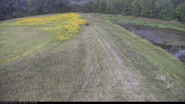 Cell 4 to Basin_23-09-07_16-05-06-92