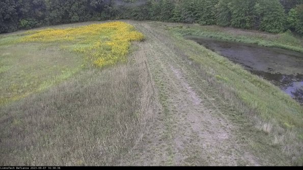 Cell 4 to Basin_23-09-07_16-38-36-97