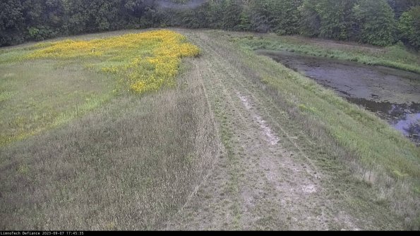 Cell 4 to Basin_23-09-07_17-45-35-88