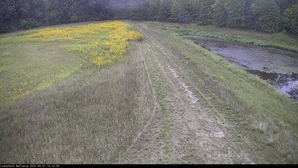 Cell 4 to Basin_23-09-07_18-19-05-90